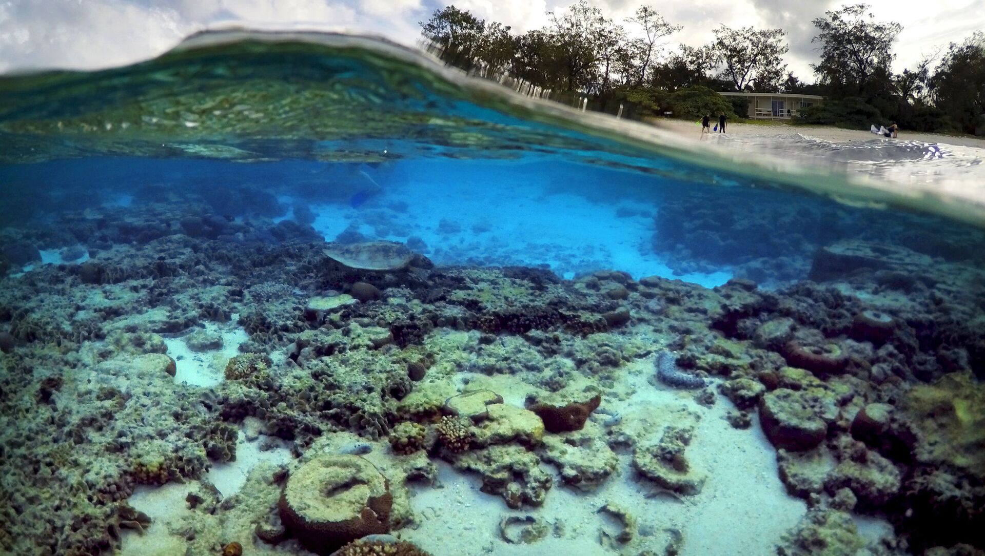 خطر نابودی سد بزرگ مرجانی در استرالیا - اسپوتنیک ایران  , 1920, 12.07.2021