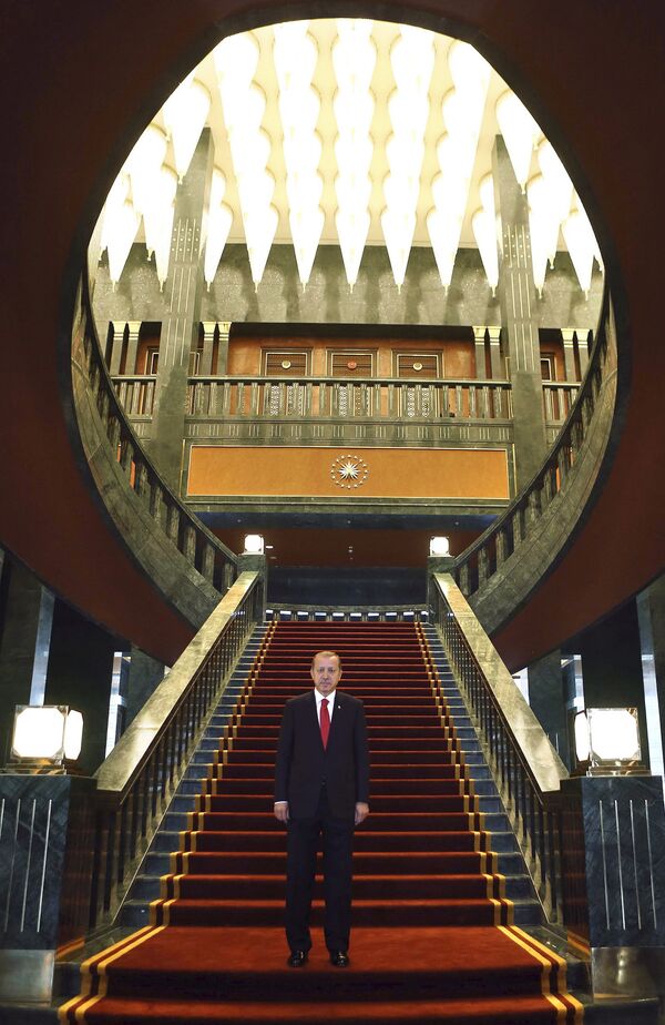 رجب طیب اردوغان، رئیس جمهوری ترکیه  - اسپوتنیک ایران  