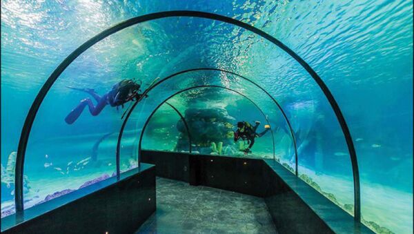Iran’s first-ever aquarium tunnel opens in Isfahan - اسپوتنیک ایران  