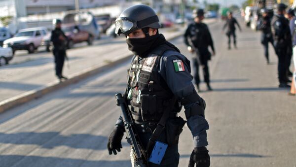 Федеральная полиция Мексики - اسپوتنیک ایران  
