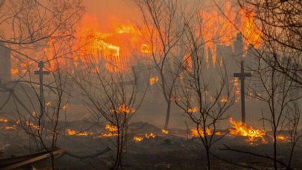 آتش سوزی جنگل - اسپوتنیک ایران  