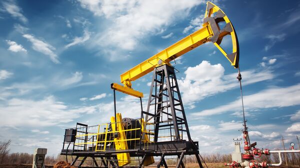 زنگنه: نشست دوحه برای فریز نفتی گامی مثبت است - اسپوتنیک ایران  