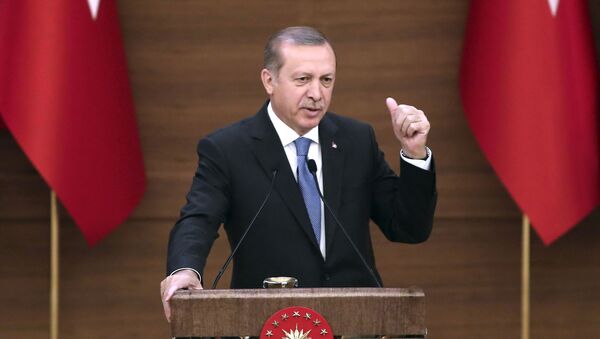 Президент Турции Реджеп Эрдоган в Анкаре - اسپوتنیک ایران  