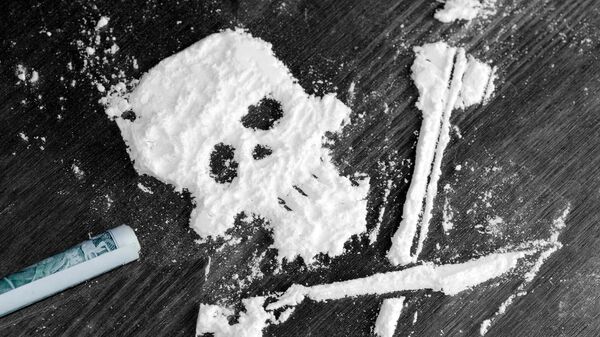 گراز وحشی 20،000 یورو کوکائین را یافت و بعد آن را معدوم کرد - اسپوتنیک ایران  