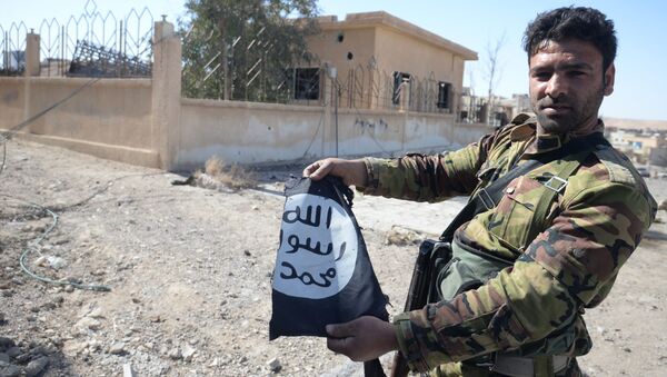 جندي من الجيش العربي السوري يحمل علم تنظيم داعش في مدينة القريتين، وذلك بعد تحريرها من التنظيم. - اسپوتنیک ایران  