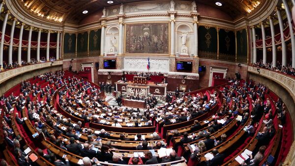 General view of the French National Assembly - اسپوتنیک ایران  