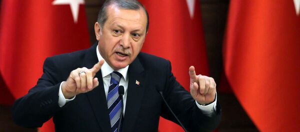 رییس جمهور ترکیه - اسپوتنیک ایران  