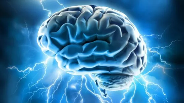 Brain power - اسپوتنیک ایران  