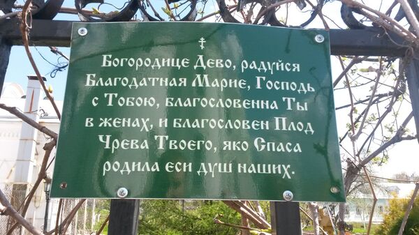 آنجا که تشیع و ارتدوکس شبیه به هم می شوند - اسپوتنیک ایران  