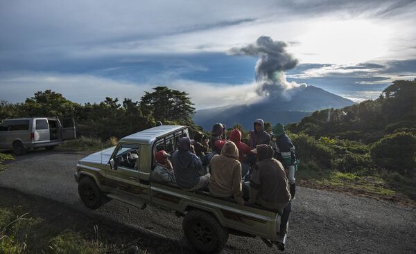 کشاورزان در حال تماشای فوران آتشفشان در کوستاریکا - اسپوتنیک ایران  
