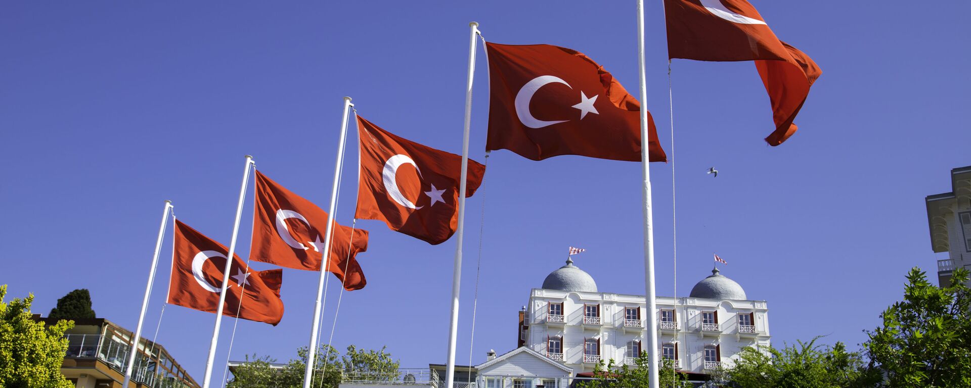 پرچم ترکیه - اسپوتنیک ایران  , 1920, 13.07.2023