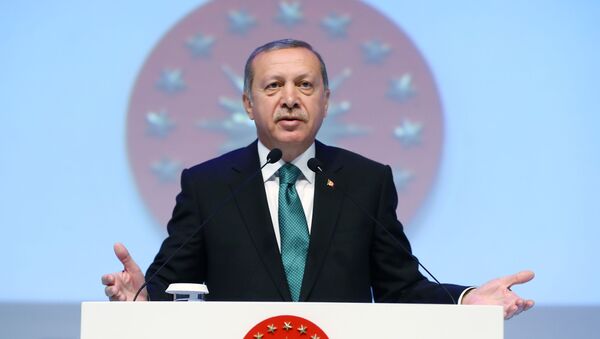رجب طیب اردوغان، رئیس جمهور ترکیه - اسپوتنیک ایران  