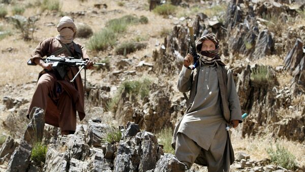 طالبان افغانستان - اسپوتنیک ایران  
