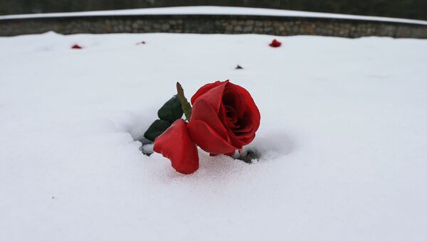 گل سرخ در محل یادبود  اردوگاه مرگ - اسپوتنیک ایران  