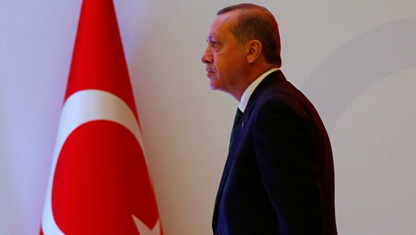 اردوغان رییس جمهور ترکیه - اسپوتنیک ایران  