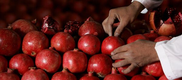 انار را در 30 ثانیه دون کنید + ویدئو  - اسپوتنیک ایران  