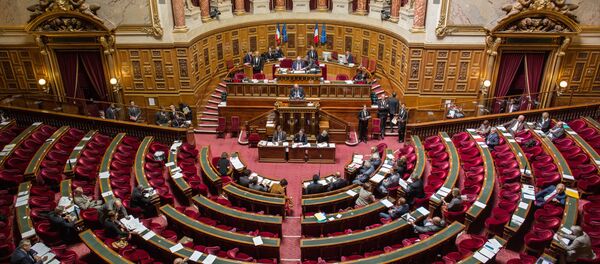 معنای قطعنامه سنای فرانسه در مورد قره باغ توضیح داده شد معنای قطعنامه سنای فرانسه در مورد قره باغ توضیح داده شد - اسپوتنیک ایران