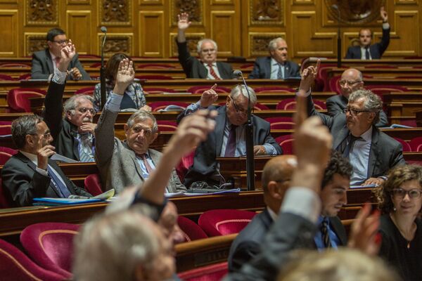 سناتورهای فرانسه در زمان رأی گیری در مجلس سنای فرانسه - اسپوتنیک ایران  