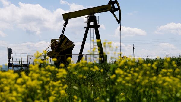 اتحادیه اروپا، سقف پیشنهادی قیمت نفت روسیه را در 2 مرحله تصویب می کند - اسپوتنیک ایران  