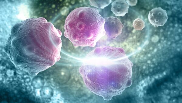 پروتئین جدید برای مبارزه با سرطان کشف شد - اسپوتنیک ایران  