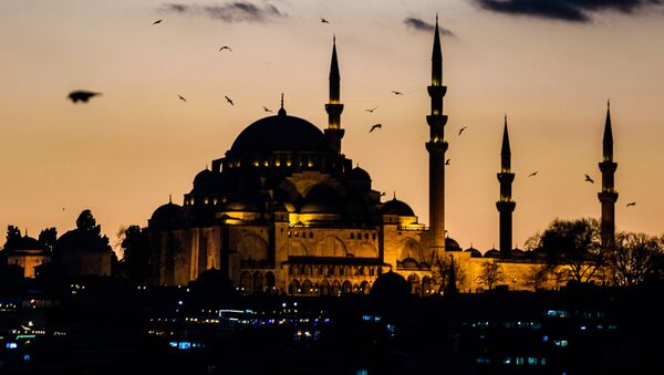 Вид на вечерний Стамбул - اسپوتنیک ایران  