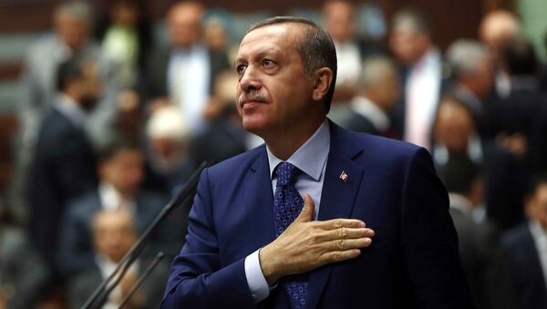 Президент Турции Тайип Эрдоган - اسپوتنیک ایران  