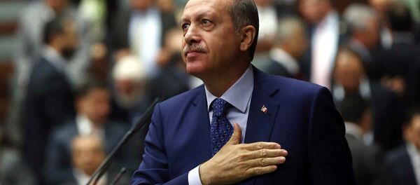 رییس جمهور ترکیه - اسپوتنیک ایران  