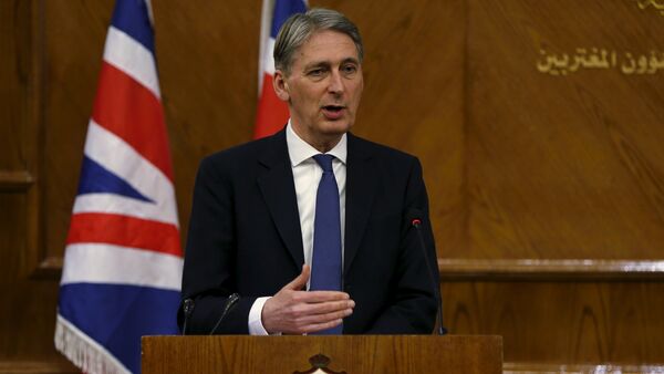 Britain's Foreign Secretary Philip Hammond speaks during a joint news conference with Jordan's Foreign Minister Nasser Judeh at the Foreign Ministry in Amman, Jordan, February 1, 2016 - اسپوتنیک ایران  