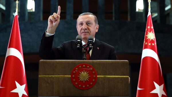 Президент Турции Тайип Эрдоган в Анкаре - اسپوتنیک ایران  