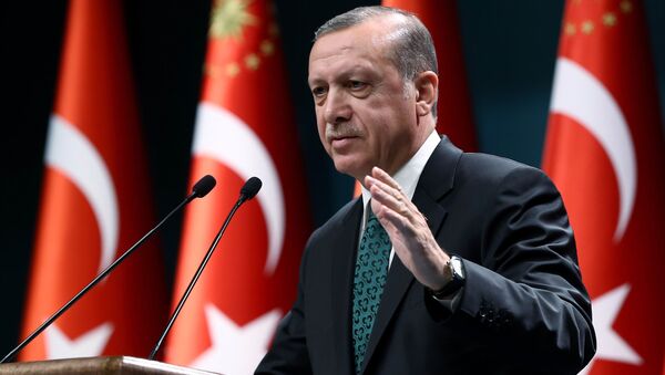 اظهار نظر اردوغان در باره احتمال بازگرداندن حکم اعدام و اعمال آن برای کودتاچیان - اسپوتنیک ایران  