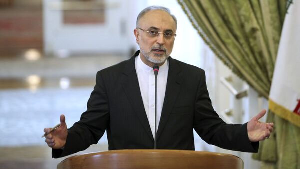علی اکبر صالحی معاون رئیس جمهور ایران و رئیس سازمان انرژی اتمی ایران - اسپوتنیک ایران  