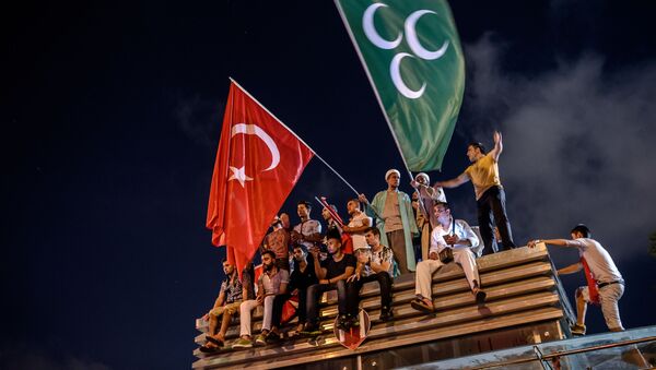 Протестующие с турецкими флагами в Стамбуле - اسپوتنیک ایران  