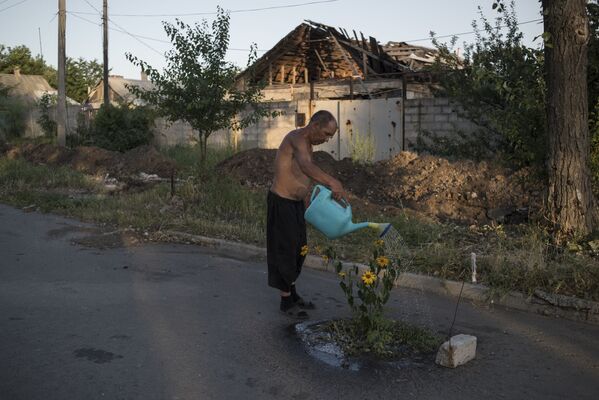 مردی در حال آب دادن بوته گل در یکی از قصبات دونتسک - اسپوتنیک ایران  