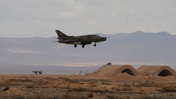 جنگنده  میگ-21 نیروی هوایی سوریه - اسپوتنیک ایران  