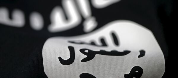 بیعت شاخه خای بین المللی داعش با رهبر جدید بیعت شاخه خای بین المللی داعش با رهبر جدید - اسپوتنیک ایران