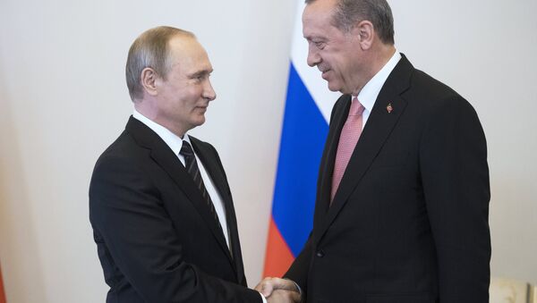 Встреча президентов России и Турции В. Путина и Р. Эрдогана в Санкт-Петербурге - اسپوتنیک ایران  