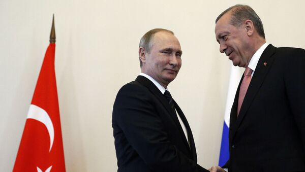 Президент России Владимир Путин и президент Турции Реджеп Тайип Эрдоган в Санкт-Петербурге - اسپوتنیک ایران  