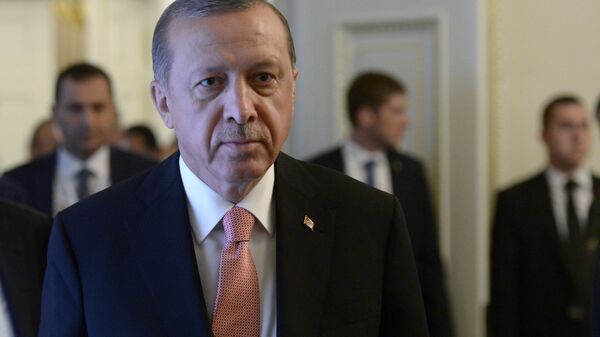 اردوغان: روسیه و ترکیه در باره تسریع در احداث خط لوله جریان ترکیه و نیروگاه اکویو توافق کردند - اسپوتنیک ایران  