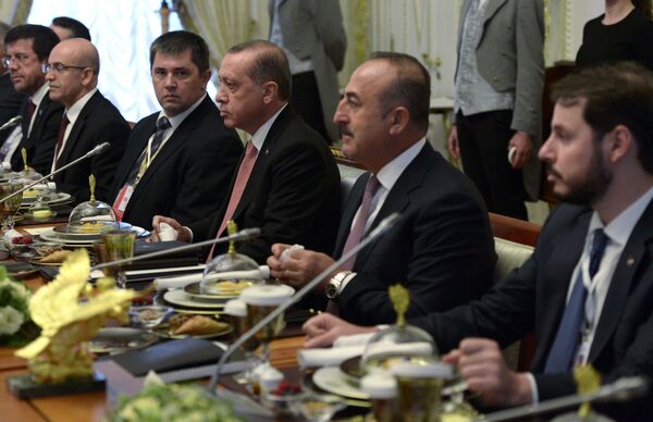 دیدار ولادیمیر پوتین و رجب طیب اردوغان در  کاخ کونستانتینوف سنت پطربورگ - اسپوتنیک ایران  