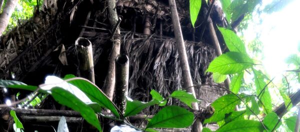 55 سال پیش آمریکا ماده شیمایی عامل نارنجی را روی ویتنام ریخت 55 سال پیش آمریکا ماده شیمایی عامل نارنجی را روی ویتنام ریخت - اسپوتنیک ایران