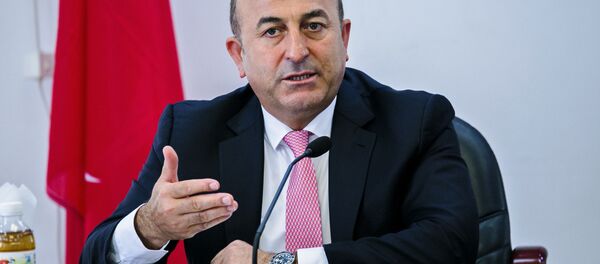 چاووش اوغلو،وزیر خارجه ترکیه - اسپوتنیک ایران  