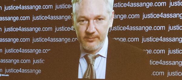 انتشار تصاویری از آسانژ در زندان + ویدئو - اسپوتنیک ایران  