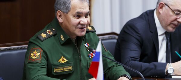 شویگو: روسیه به تسلیحات خود نمیبالد شویگو: روسیه به تسلیحات خود نمیبالد - اسپوتنیک ایران