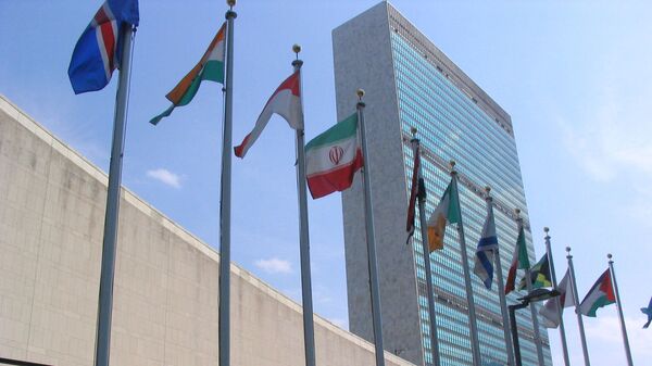 جوکی به نام تشکیلات حقوق بشر سازمان ملل - اسپوتنیک ایران  
