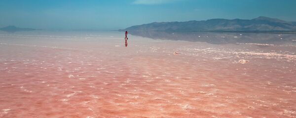 بازگشت زندگی به دریاچه ارومیه + ویدئو بازگشت زندگی به دریاچه ارومیه + ویدئو - اسپوتنیک ایران