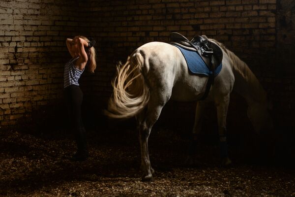 ورزشکار پس از تمرین اسب سواری  در اصطبل  مرکز ورزشی در نوسیبیرسک - اسپوتنیک ایران  