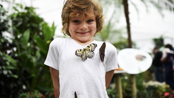 Мальчик с бабочками во время фотосессии в преддверии открытия выставки Sensational Butterflies в музее естествознания в Лондоне - اسپوتنیک ایران  