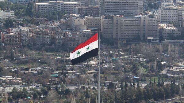 سوریه آماده به رسمیت شناختن جمهوری خلق لوهانسک و دونتسک است  - اسپوتنیک ایران  