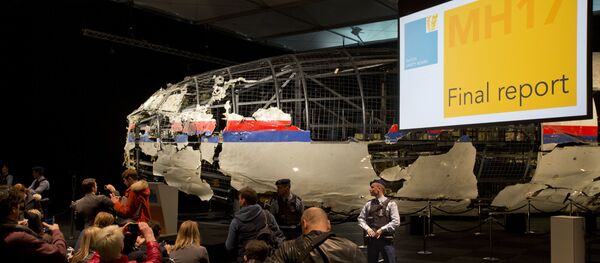 روزنامه نگار هلندی اسناد اطلاعاتی درباره سقوط MH17 را منتشر کرد - اسپوتنیک ایران  