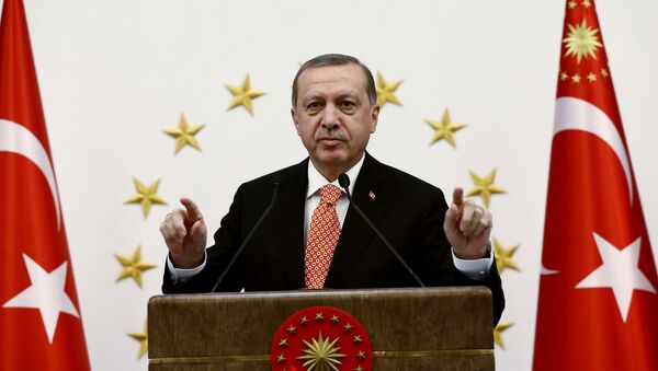 Президент Турции Реджеп Тайип Эрдоган - اسپوتنیک ایران  